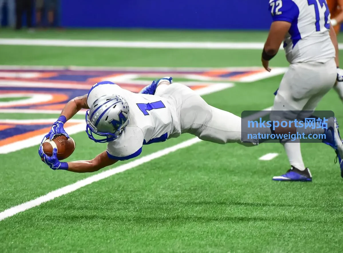 mksports网站低糖电解质粉商品封面